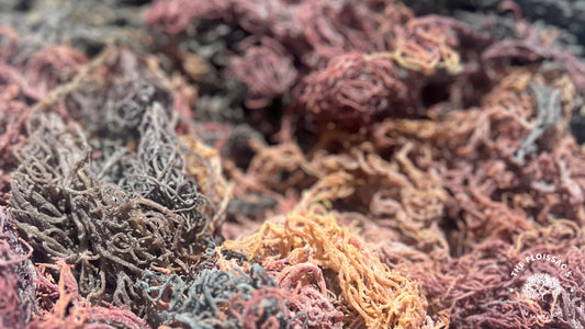 Multi Spectrum Raw Sea Moss