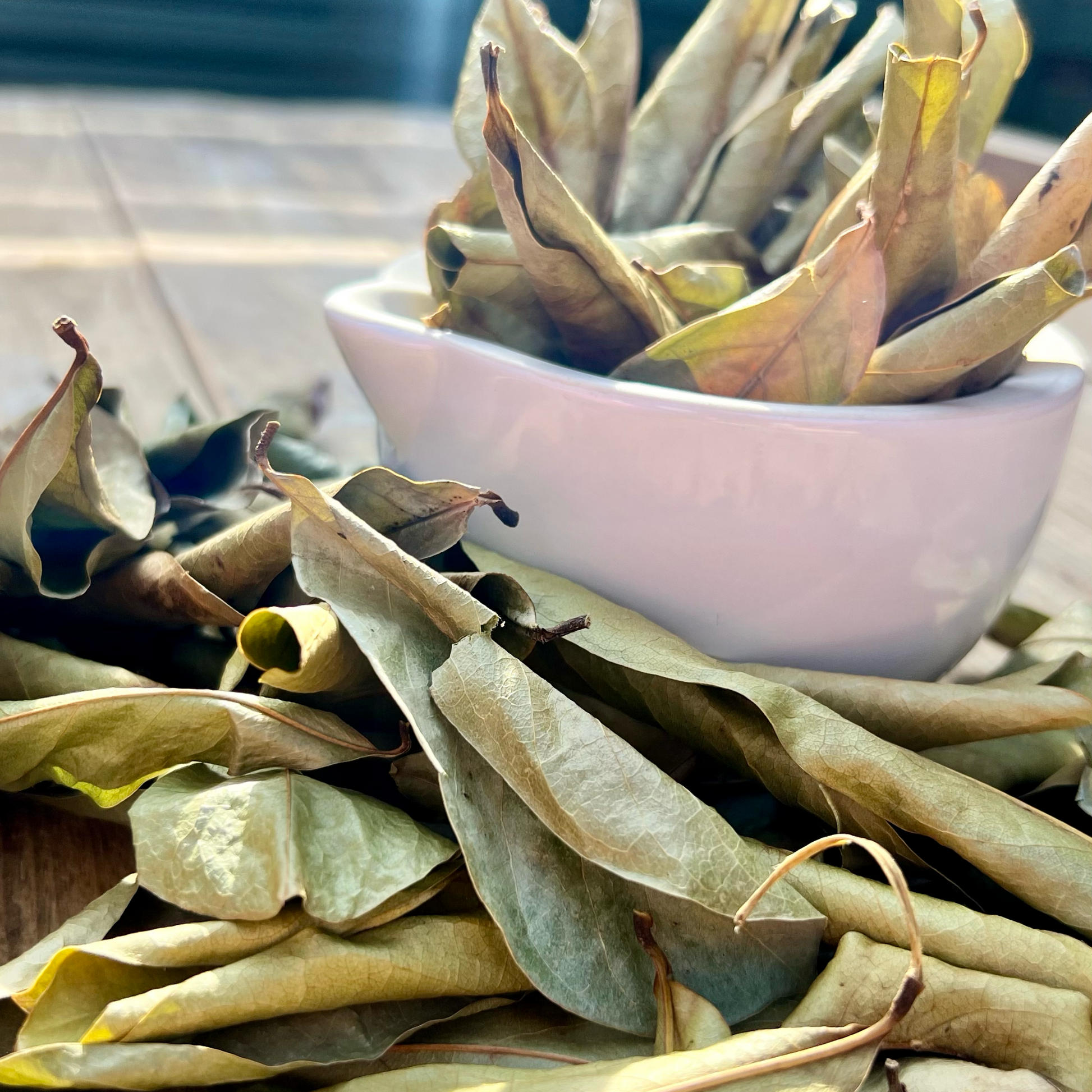 Premium sun dried soursop leaves from St. Lucia, known for supporting overall health and vitality.