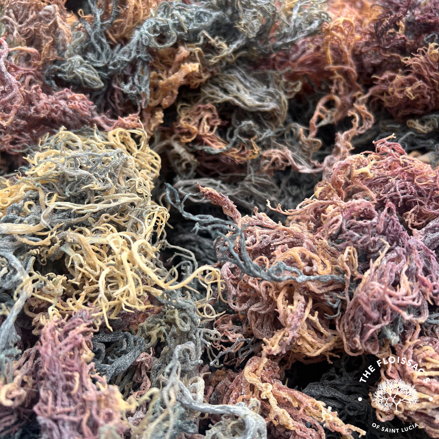 Taste the natural rainbow with our sun dried multi-spectrum wonder sea moss